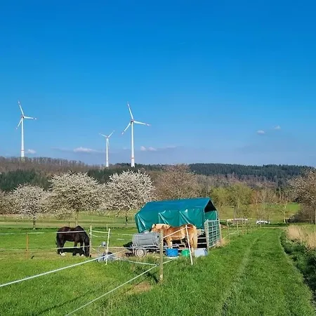 Apartment Im Schoenen Taunus Dickschied Eksteriør billede